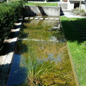 Gartenbecken 101